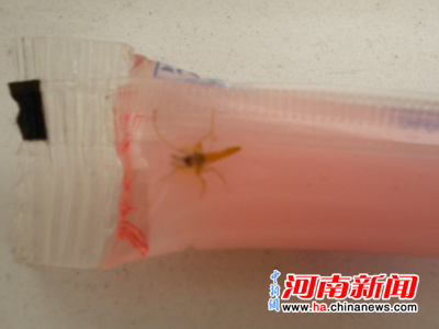 未開(kāi)封親親果凍驚現(xiàn)蚊子