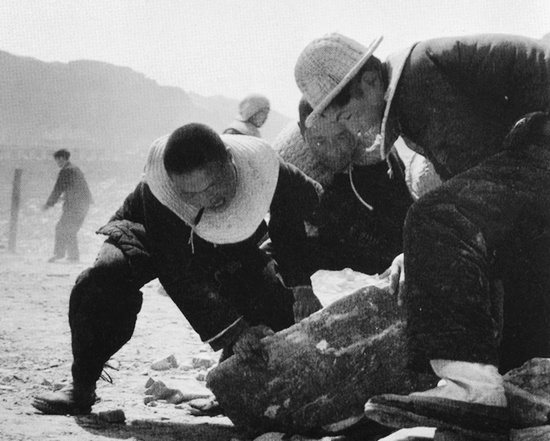 抬石頭，多少人手上都磨出了老繭